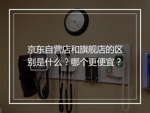 京东自营店和旗舰店的区别是什么？哪个更便宜？