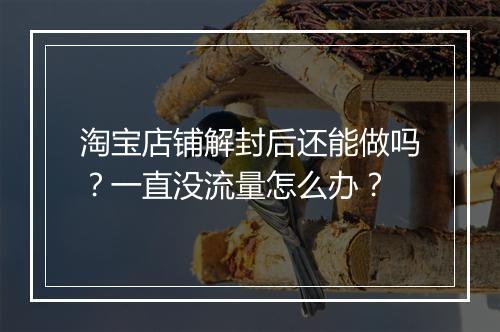 淘宝店铺解封后还能做吗？一直没流量怎么办？