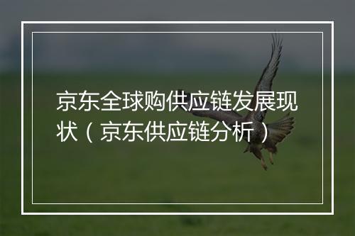 京东全球购供应链发展现状（京东供应链分析）