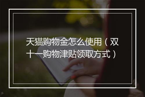 天猫购物金怎么使用（双十一购物津贴领取方式）