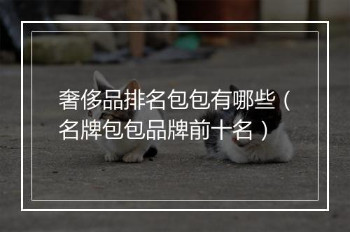 奢侈品排名包包有哪些（名牌包包品牌前十名）