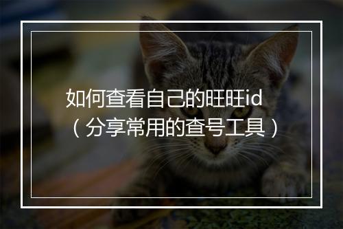 如何查看自己的旺旺id（分享常用的查号工具）
