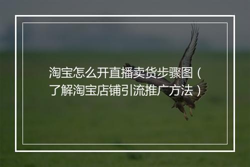 淘宝怎么开直播卖货步骤图（了解淘宝店铺引流推广方法）