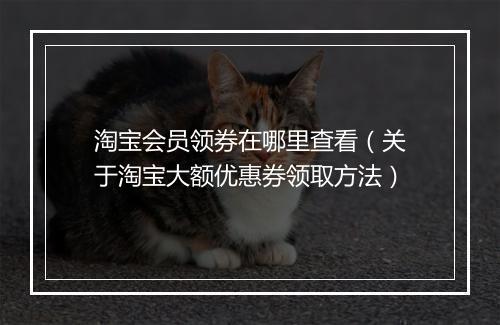 淘宝会员领券在哪里查看（关于淘宝大额优惠券领取方法）