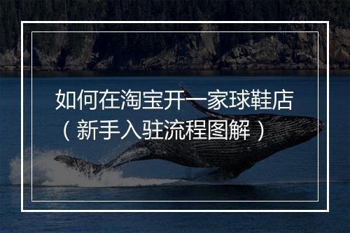 如何在淘宝开一家球鞋店（新手入驻流程图解）