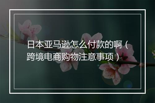 日本亚马逊怎么付款的啊（跨境电商购物注意事项）