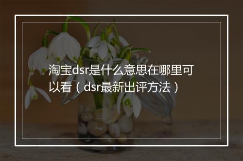 淘宝dsr是什么意思在哪里可以看（dsr最新出评方法）