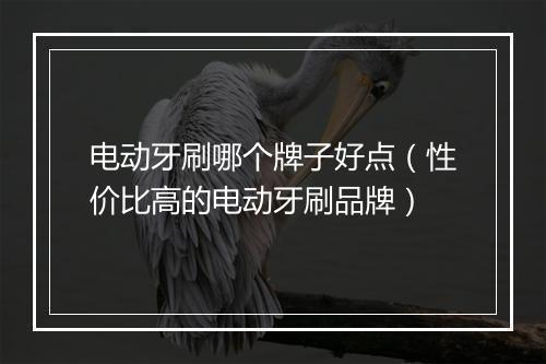 电动牙刷哪个牌子好点（性价比高的电动牙刷品牌）