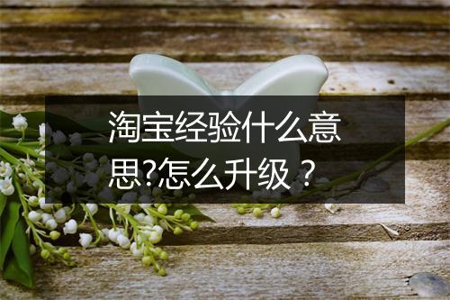 淘宝经验什么意思?怎么升级？