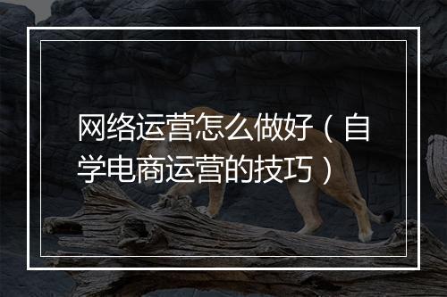 网络运营怎么做好（自学电商运营的技巧）