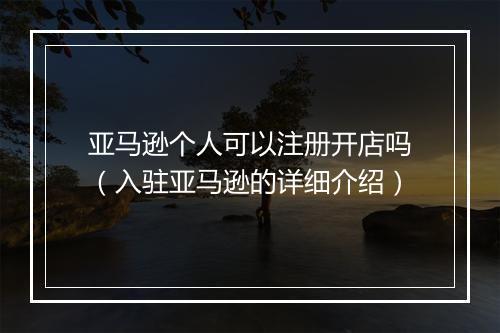 亚马逊个人可以注册开店吗（入驻亚马逊的详细介绍）