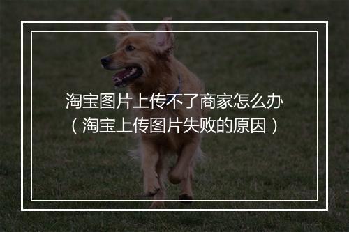 淘宝图片上传不了商家怎么办（淘宝上传图片失败的原因）