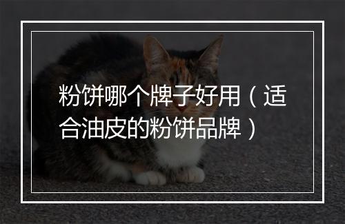 粉饼哪个牌子好用（适合油皮的粉饼品牌）