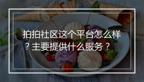拍拍社区这个平台怎么样？主要提供什么服务？