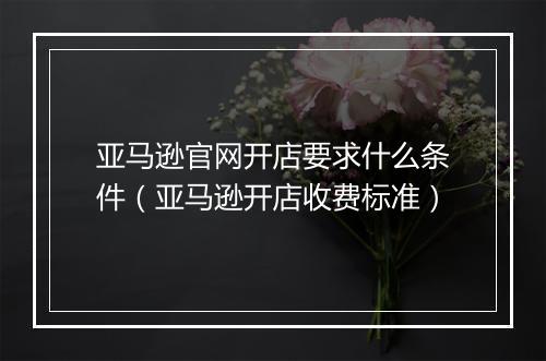 亚马逊官网开店要求什么条件（亚马逊开店收费标准）