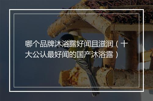 哪个品牌沐浴露好闻且滋润（十大公认最好闻的国产沐浴露）