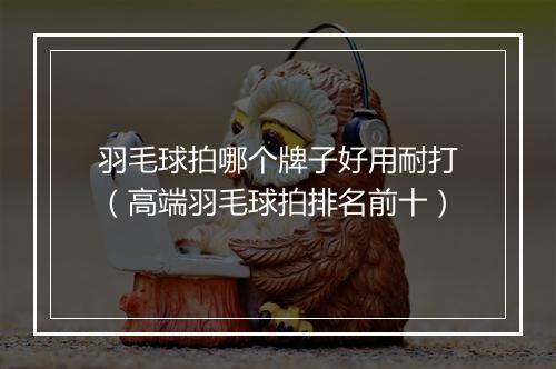 羽毛球拍哪个牌子好用耐打（高端羽毛球拍排名前十）
