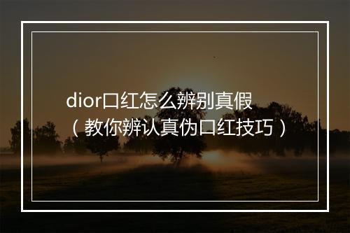 dior口红怎么辨别真假（教你辨认真伪口红技巧）