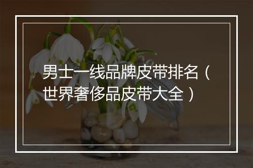 男士一线品牌皮带排名（世界奢侈品皮带大全）