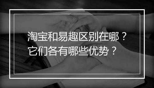 淘宝和易趣区别在哪？它们各有哪些优势？