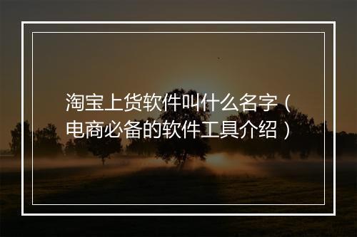 淘宝上货软件叫什么名字（电商必备的软件工具介绍）