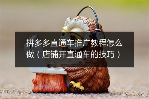 拼多多直通车推广教程怎么做（店铺开直通车的技巧）