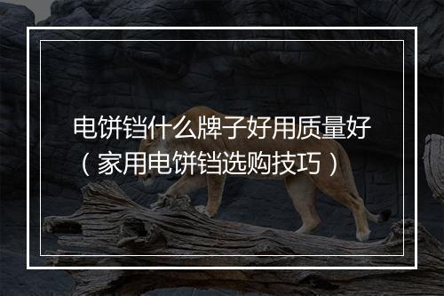 电饼铛什么牌子好用质量好（家用电饼铛选购技巧）