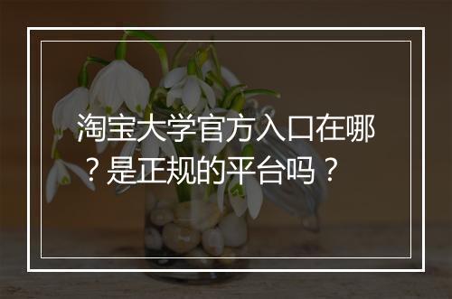 淘宝大学官方入口在哪？是正规的平台吗？