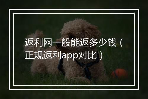 返利网一般能返多少钱（正规返利app对比）