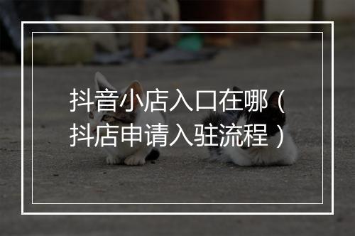 抖音小店入口在哪（抖店申请入驻流程）