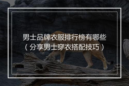 男士品牌衣服排行榜有哪些（分享男士穿衣搭配技巧）