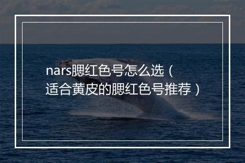 nars腮红色号怎么选（适合黄皮的腮红色号推荐）