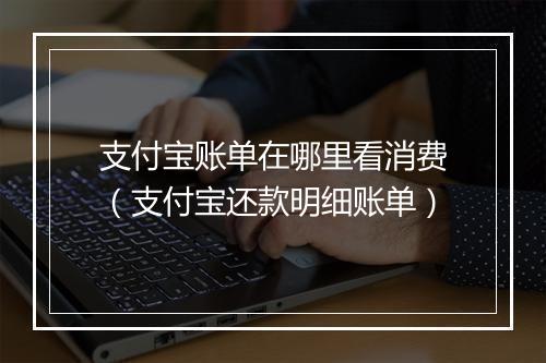 支付宝账单在哪里看消费（支付宝还款明细账单）