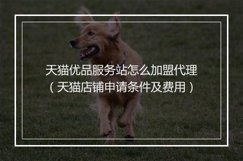 天猫优品服务站怎么加盟代理（天猫店铺申请条件及费用）