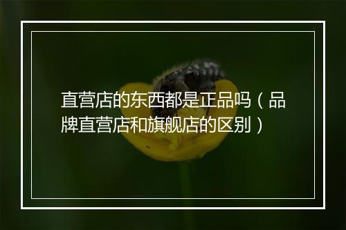 直营店的东西都是正品吗（品牌直营店和旗舰店的区别）