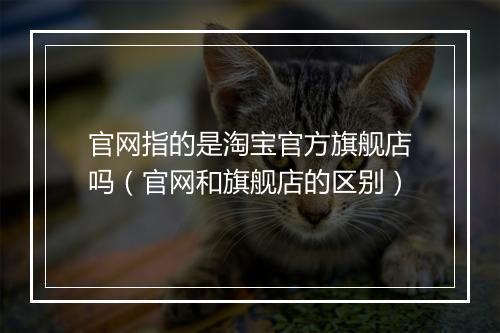 官网指的是淘宝官方旗舰店吗（官网和旗舰店的区别）