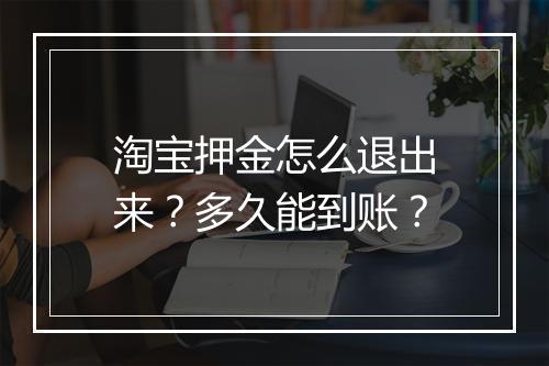 淘宝押金怎么退出来？多久能到账？
