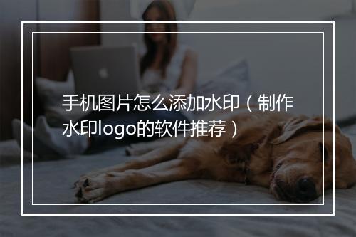 手机图片怎么添加水印（制作水印logo的软件推荐）