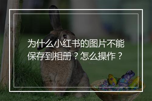 为什么小红书的图片不能保存到相册？怎么操作？