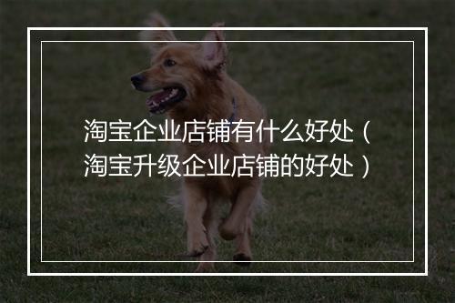 淘宝企业店铺有什么好处（淘宝升级企业店铺的好处）