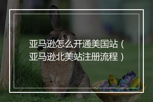 亚马逊怎么开通美国站（亚马逊北美站注册流程）