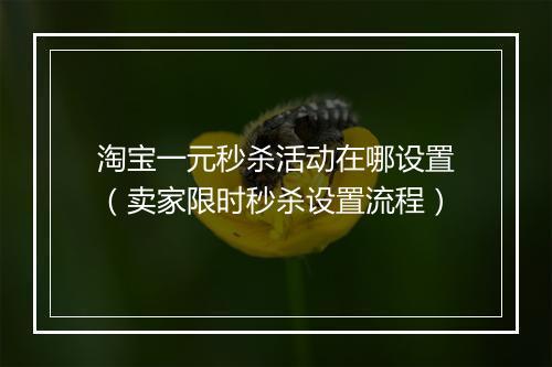 淘宝一元秒杀活动在哪设置（卖家限时秒杀设置流程）