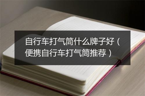 自行车打气筒什么牌子好（便携自行车打气筒推荐）