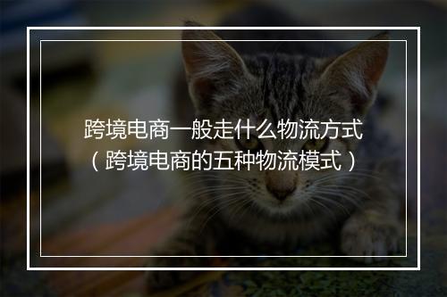 跨境电商一般走什么物流方式（跨境电商的五种物流模式）