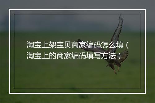 淘宝上架宝贝商家编码怎么填（淘宝上的商家编码填写方法）