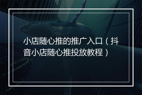 小店随心推的推广入口（抖音小店随心推投放教程）