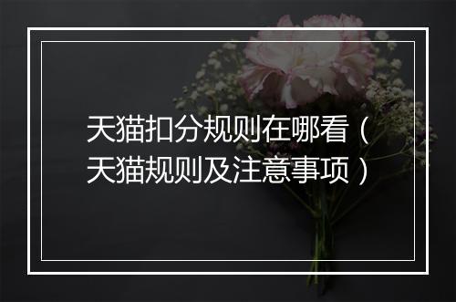 天猫扣分规则在哪看（天猫规则及注意事项）