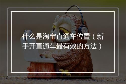 什么是淘宝直通车位置（新手开直通车最有效的方法）