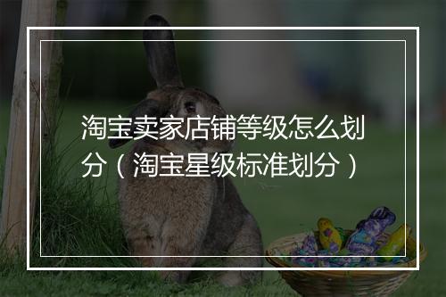 淘宝卖家店铺等级怎么划分（淘宝星级标准划分）