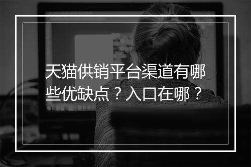 天猫供销平台渠道有哪些优缺点？入口在哪？